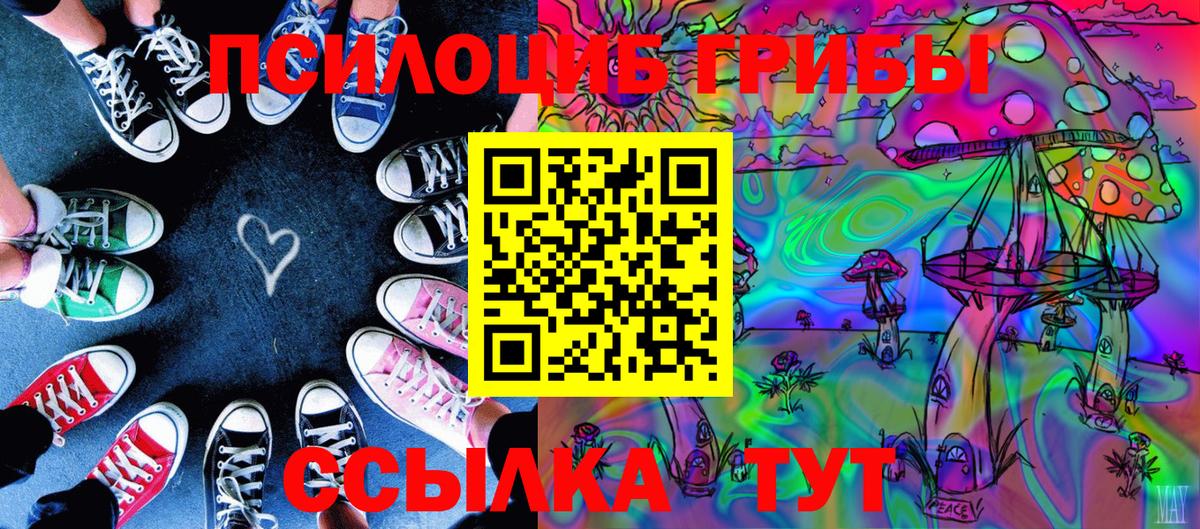 Менделеевск  Псилоцибиновые грибы мицелий  Вход с VPN 